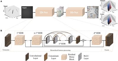 UCRNet: Underwater color image restoration via a polarization-guided convolutional neural network